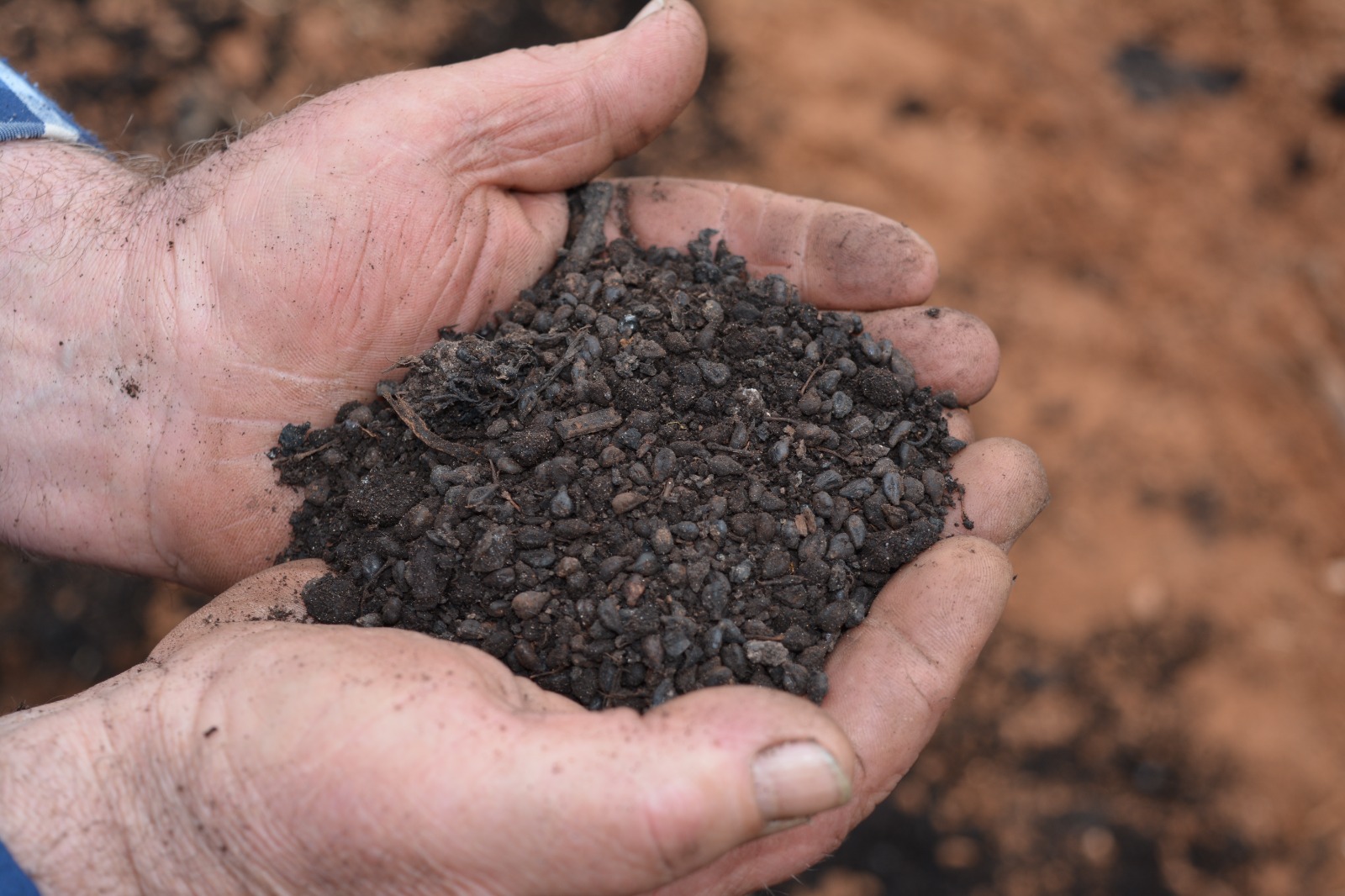 Viñedos de Bodegas Quiroga de Pablo