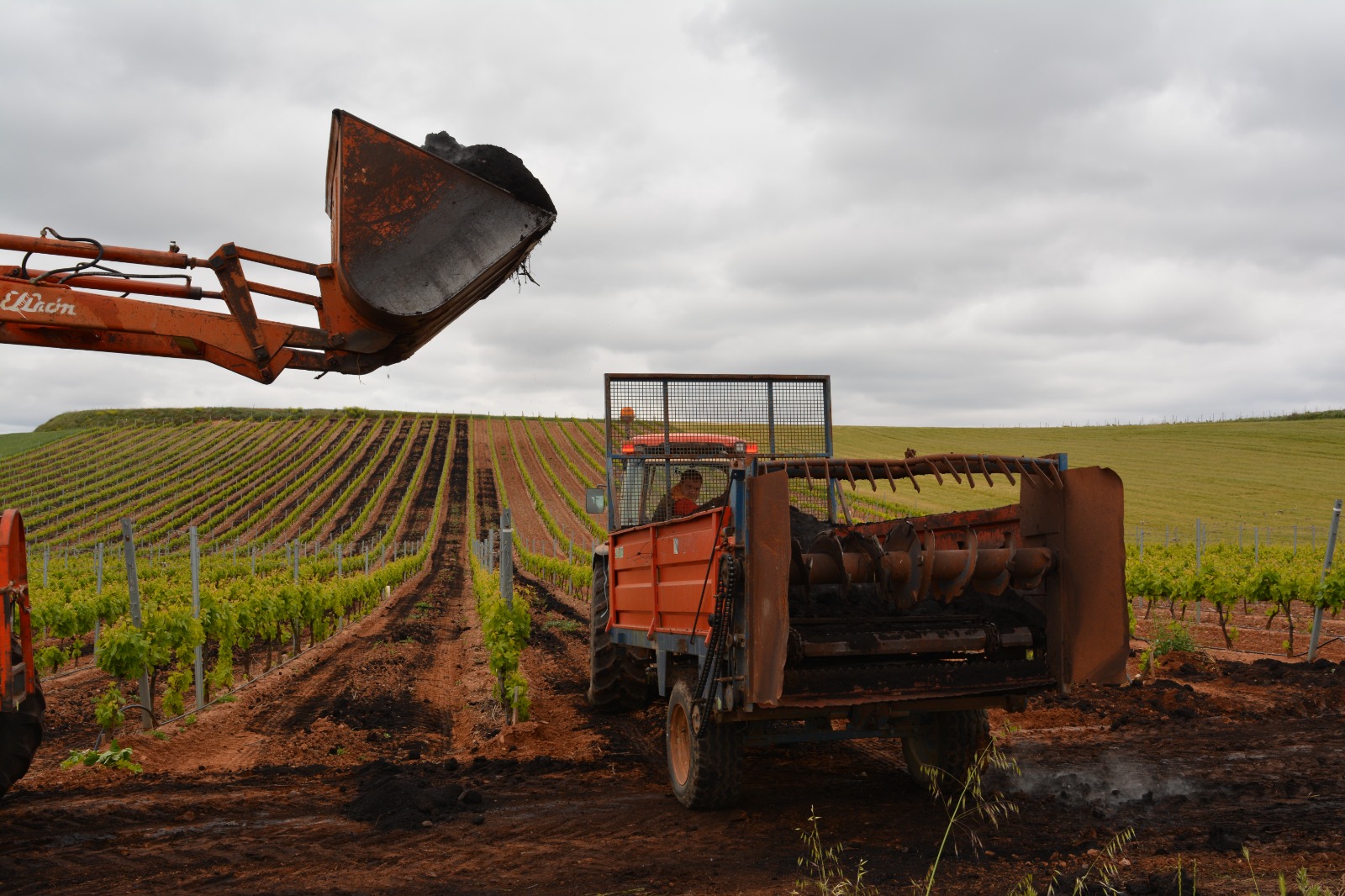 Viñedos de Bodegas Quiroga de Pablo
