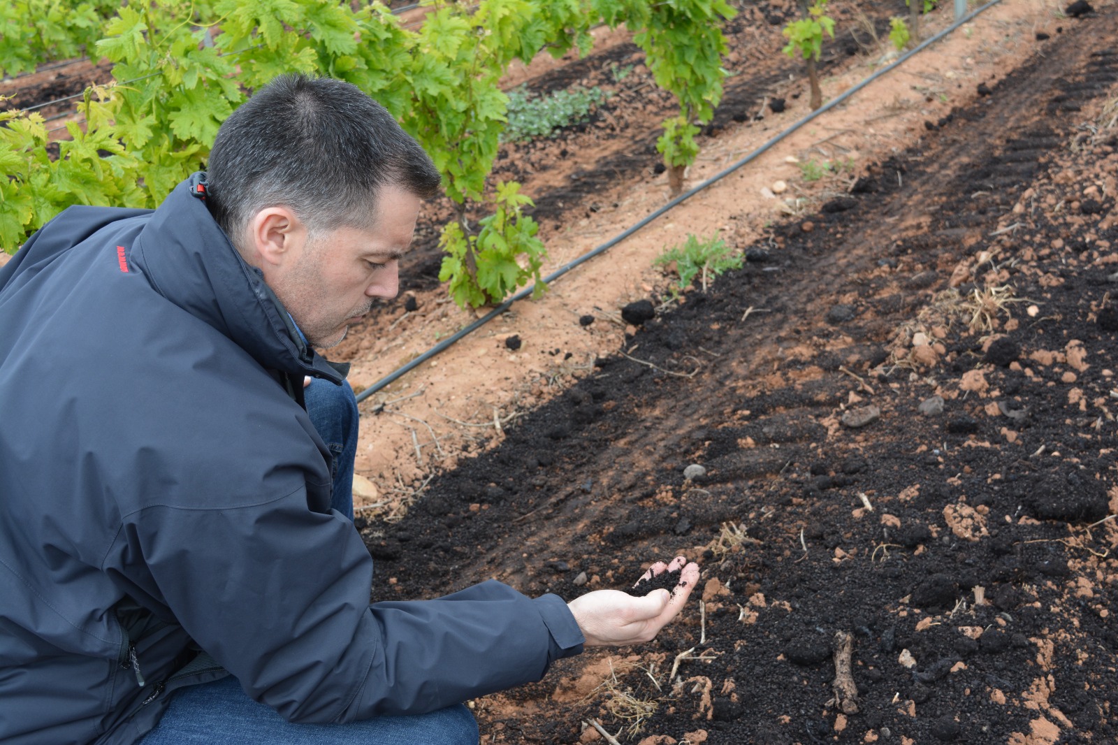 Viñedos de Bodegas Quiroga de Pablo
